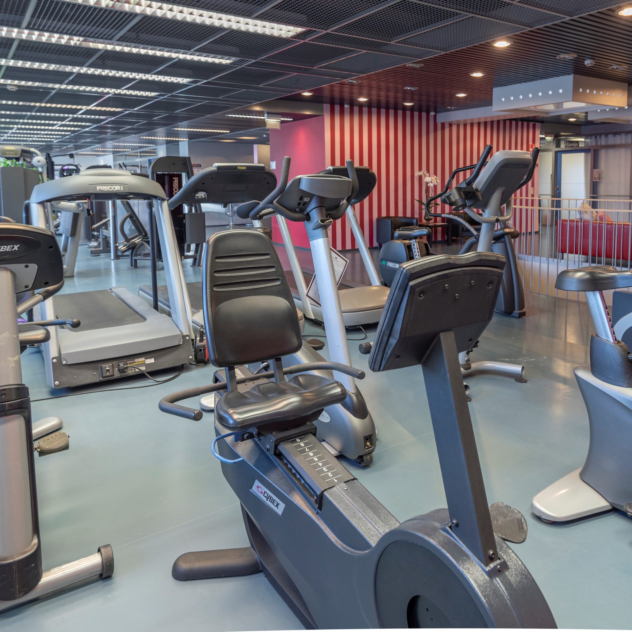 Cardio-alue: pyörät ja juoksumatot
